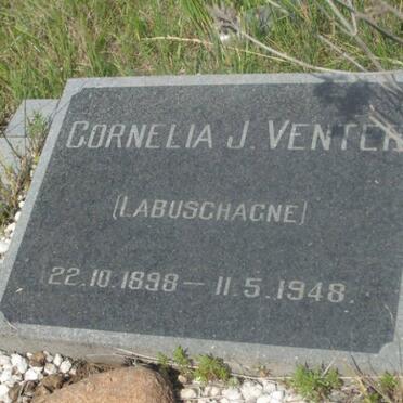 VENTER Cornelia J. nee LABUSCHAGNE 1898-1948
