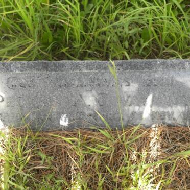 WYK Petrus A.B., van 1918-1961