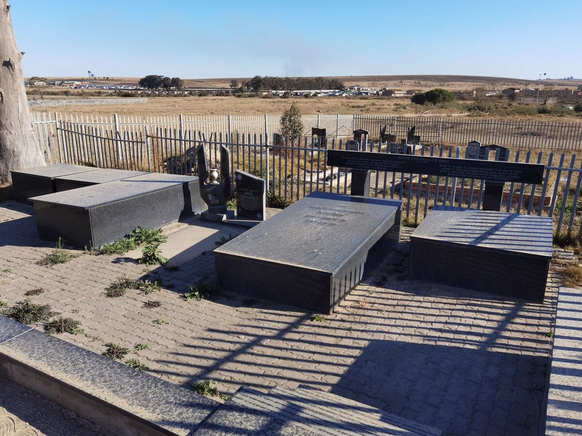 2. Overview / Oorsig