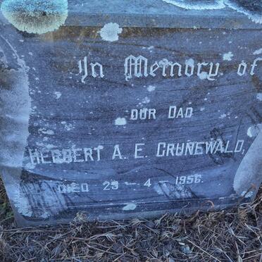 GRUNEWALD Herbert A.E. -1956