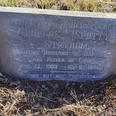STRYDOM Apollos 1903-1966