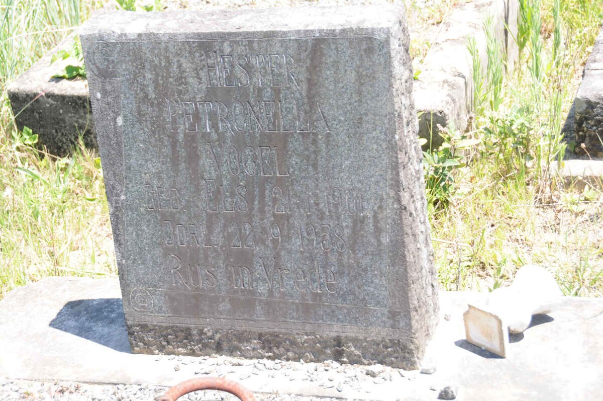 VOGEL Hester Petronella nee ELS 1901-1958