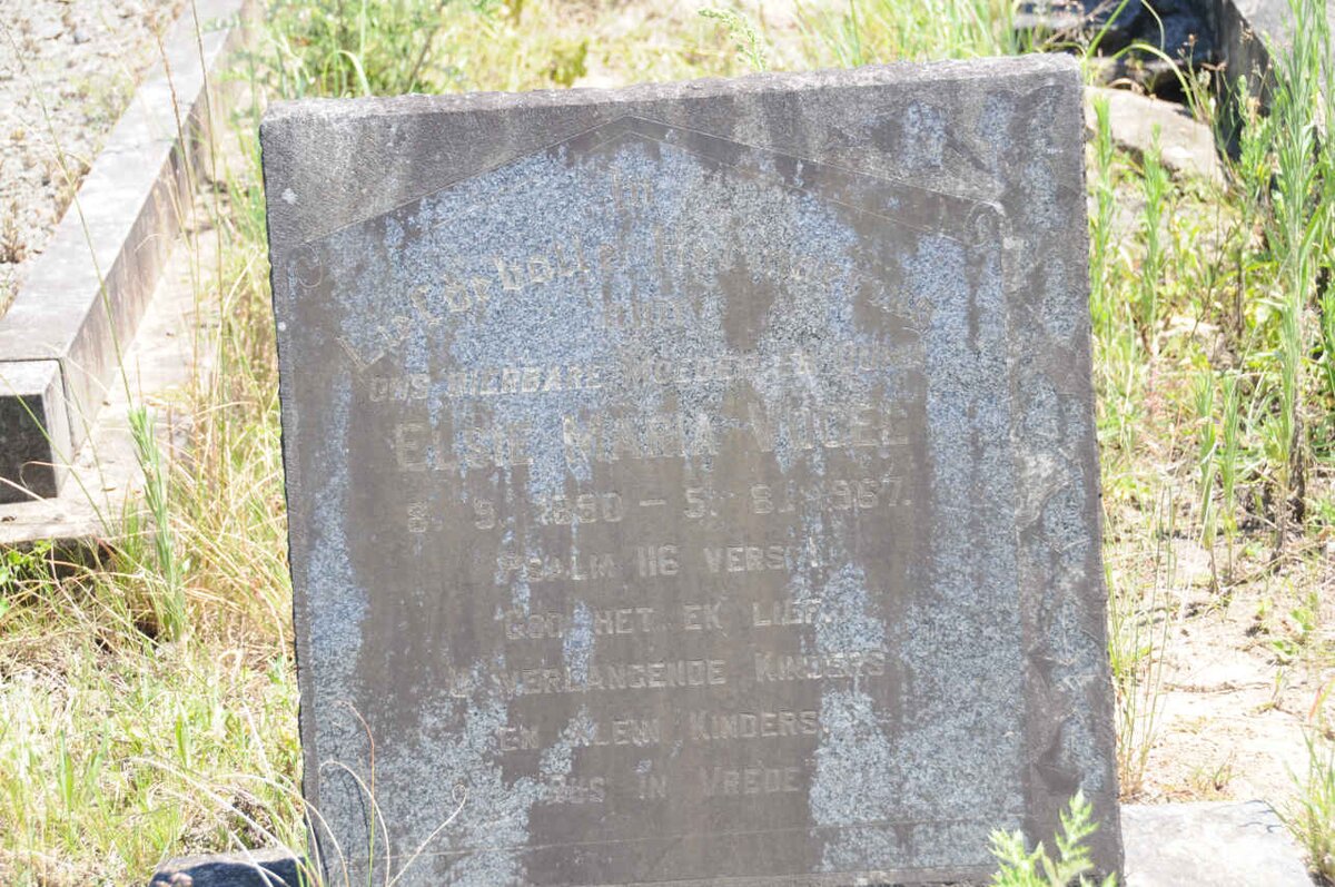 VOGEL Elsie Maria 1890-1967