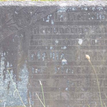 KUMM Maria nee BENDEMANN 1878-1952