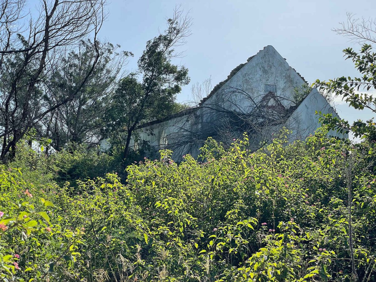 1. Overview / Oorsig