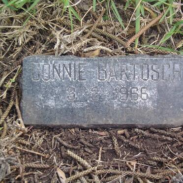 BARTOSCA Connie -1966