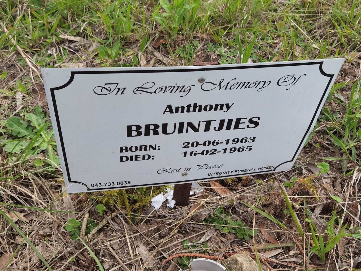 BRUINTJIES Anthony 1963-1965
