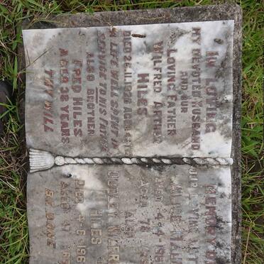 HILES Wilfred Arthur -1926 &amp; Alice Maud -1960 :: HILES Fred :: HILES Dudley Wilfred -1967