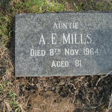 MILLS A.E. -1964