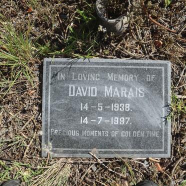 MARAIS David 1938-1997