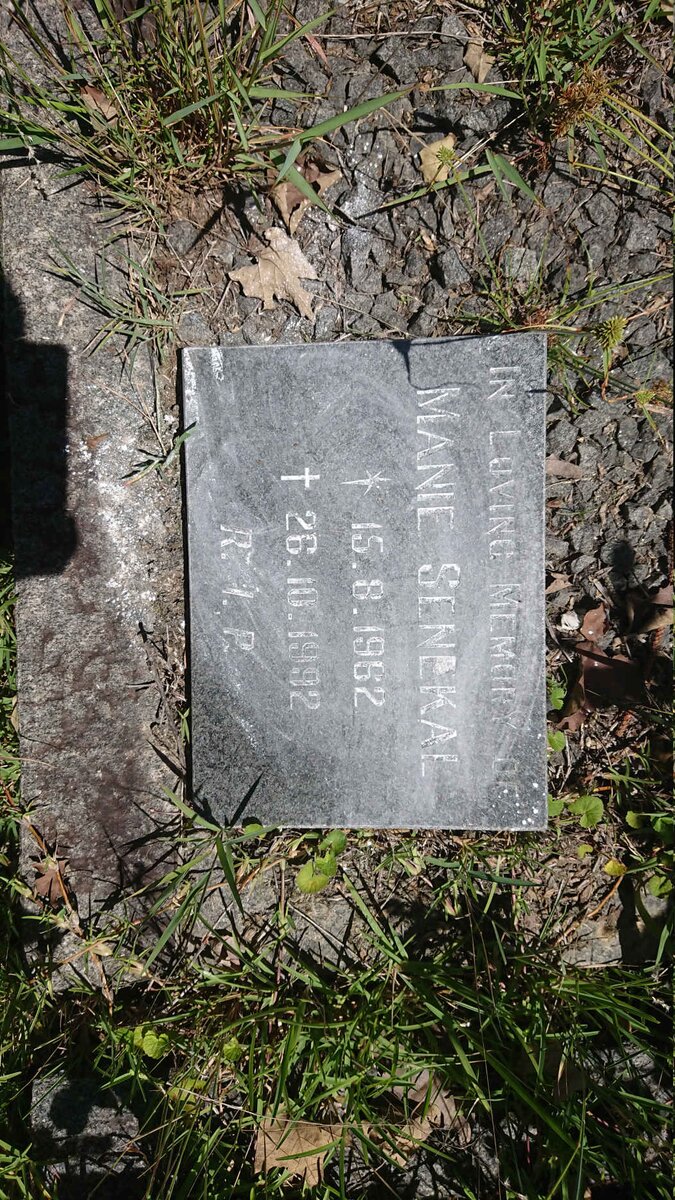 SENEKAL Manie 1962-1992