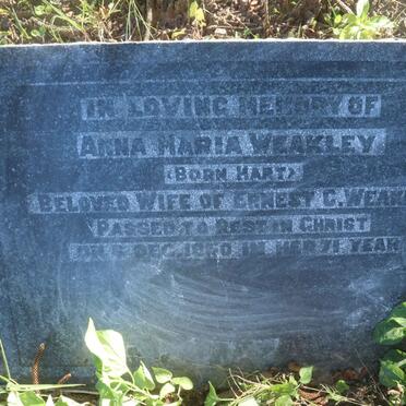 WEAKLEY Anna Maria nee HART -1950