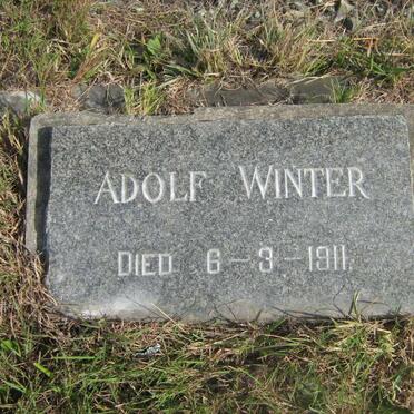 WINTER Adolf -1911