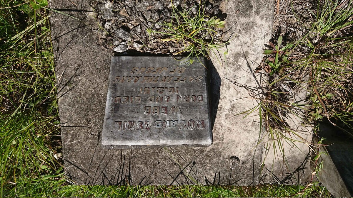 WEBB Roy 1951-1951 :: WEBB Avril 1951-1951