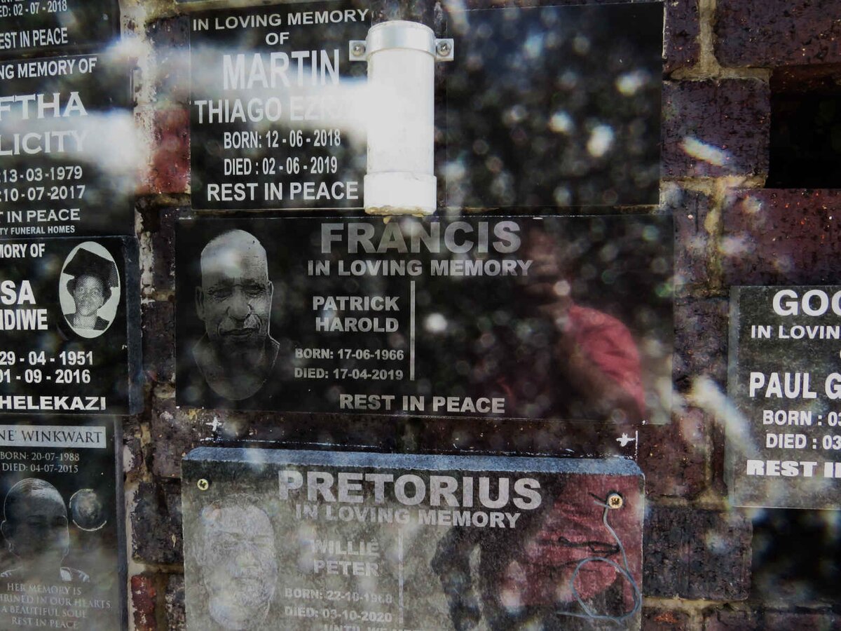 FRANCIS Patrick Harold 1966-2019