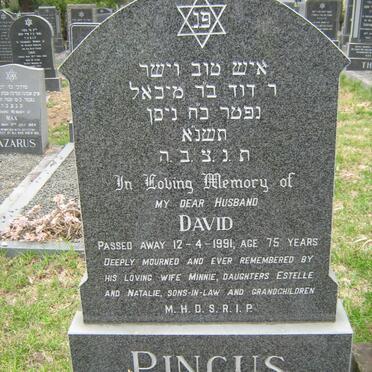 P - Vanne :: Surnames - P