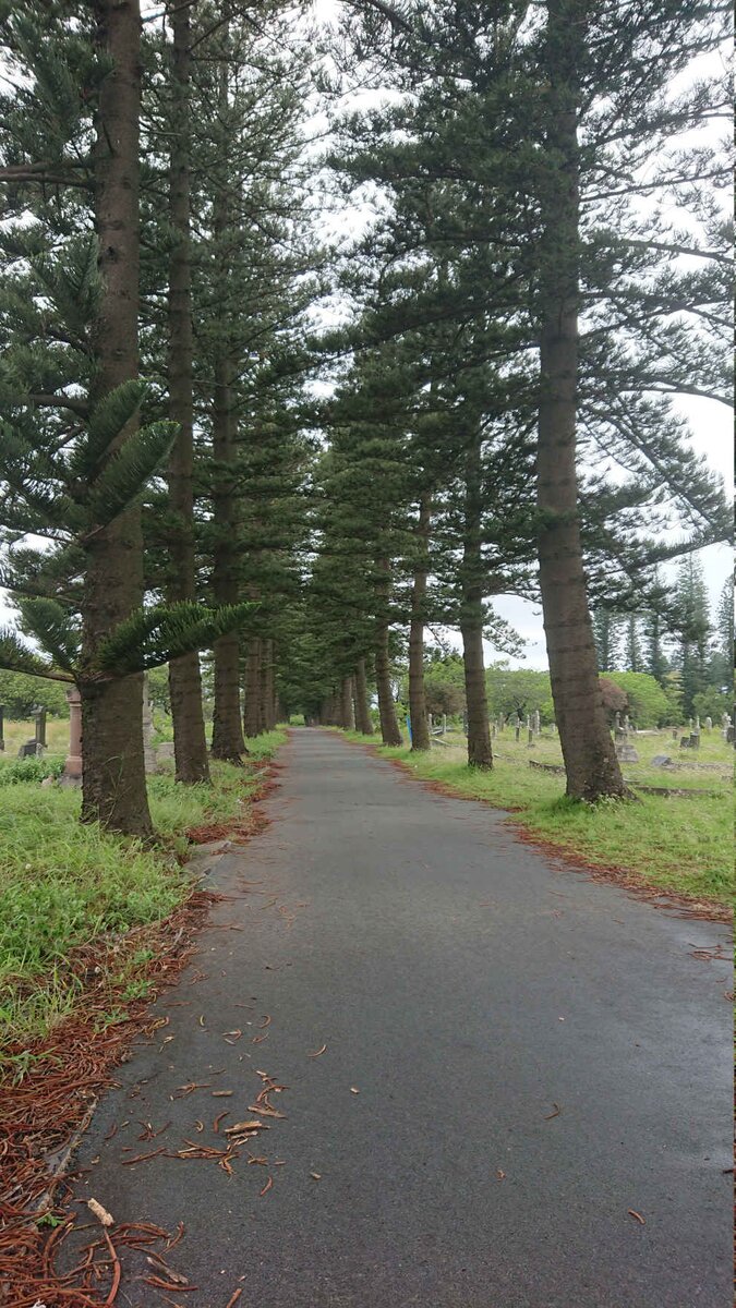 2. Overview / Oorsig