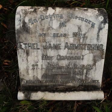 A - Surnames :: Vanne - A