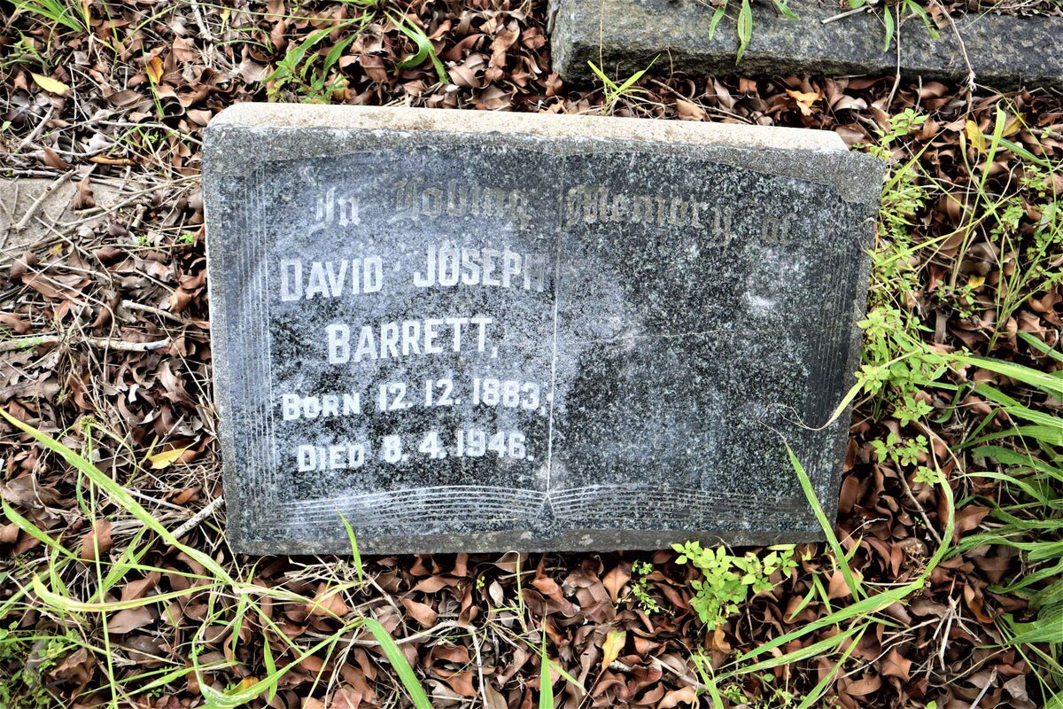 BARRETT David Joseph 1883-1946