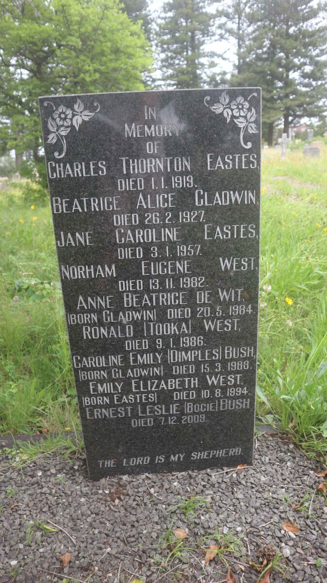 BUSH :: EASTES :: GLADWIN :: WEST :: DE WIT