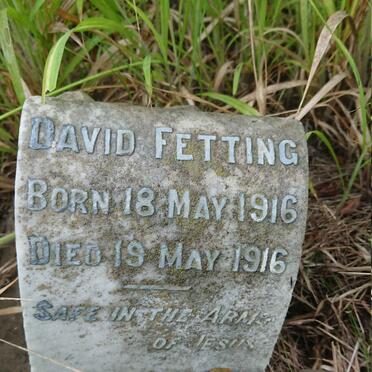 FETTING David 1916-1916