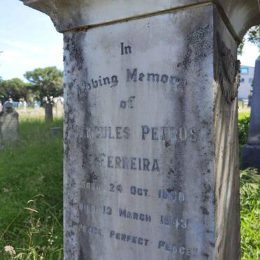 FERREIRA Hercules Petrus 1860-1943