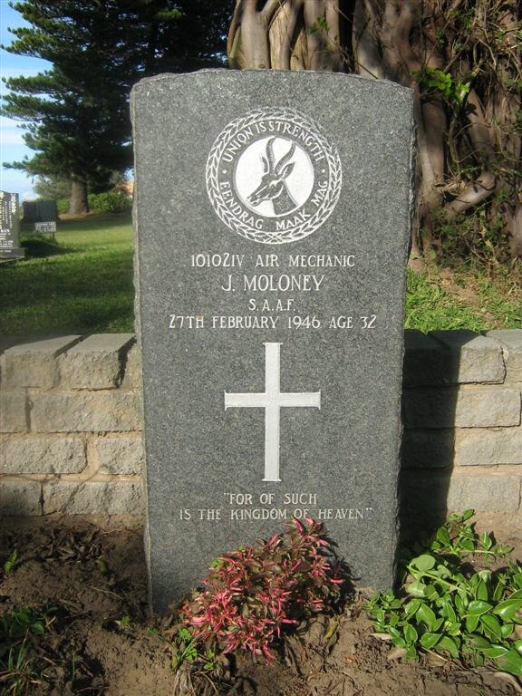 MOLONEY J. -1946