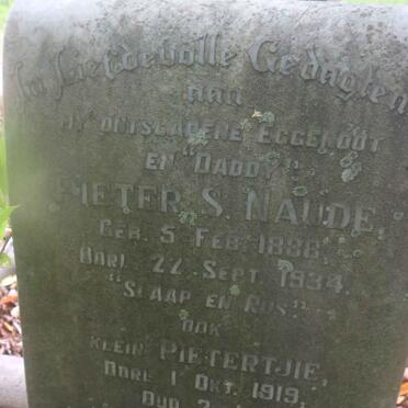 NAUDE Pieter S. 1888-1934 :: NAUDE Pietertjie -1919