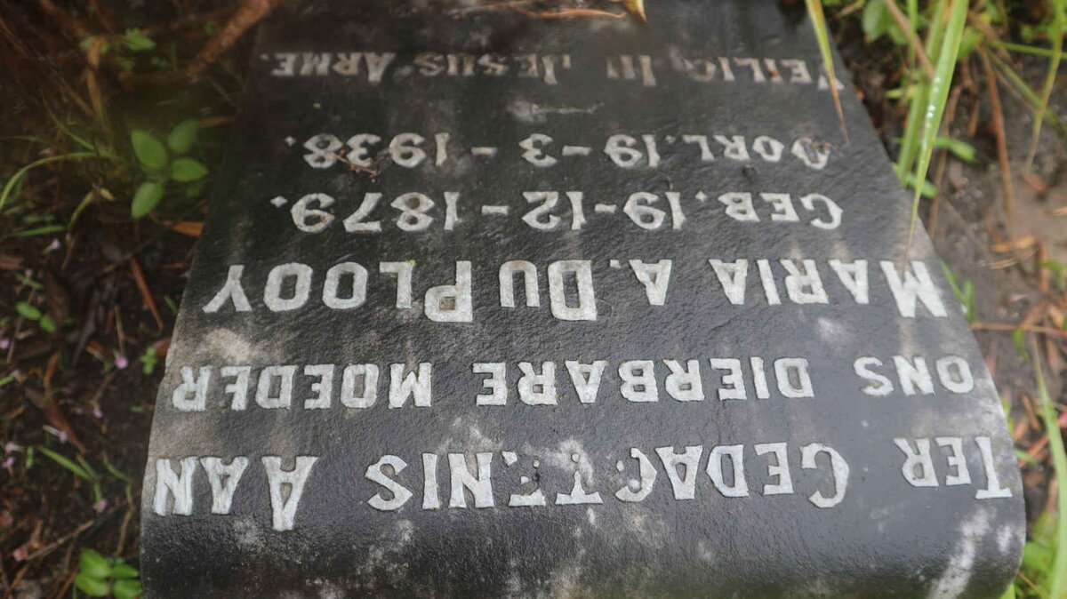 PLOOY Maria A., du 1879-1938