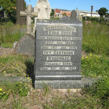REES Evan 1884-1943  &amp; Ivy Gertrude WOODWARD formerly REES -1951