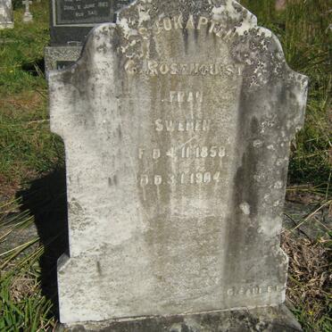 ROSENQUIST G. 1858-1904