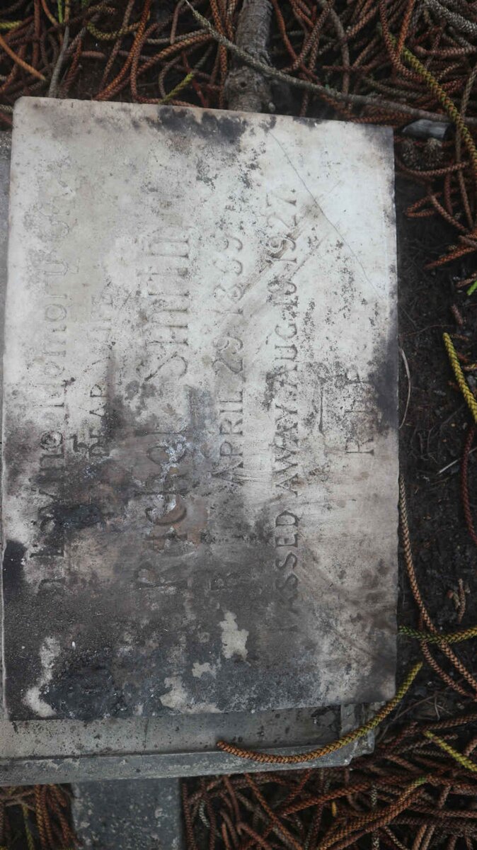 SMITH Rachel 1859-1927