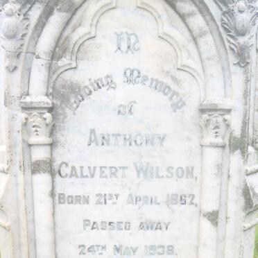 WILSON Anthony Calvert 1862-1938 &amp; Ethel Maud 1865-1962 :: WILSON John William 1860-1904 :: WILSON Elizabeth Maria -1909