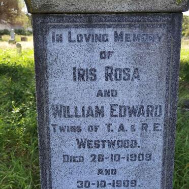 WESTWOOD William Edward 1909-1909 :: WESTWOOD Iris Rosa 1909-1909 