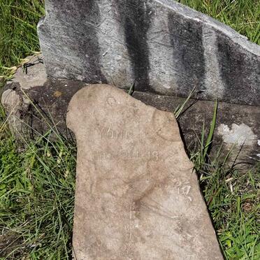 Y - Vanne :: Surnames - Y