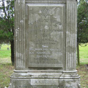 D - Vanne :: Surnames - D