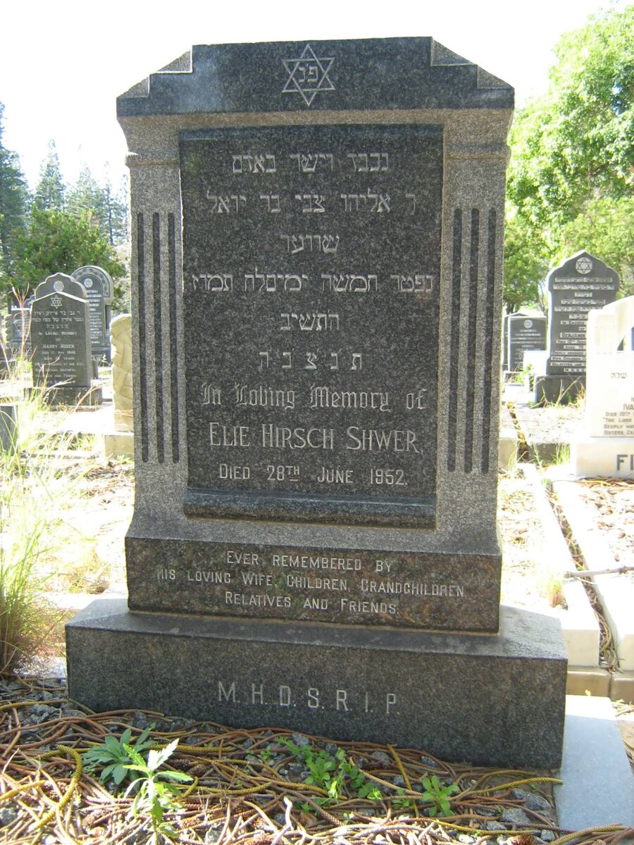 SHWER Elie Hirsch -1952