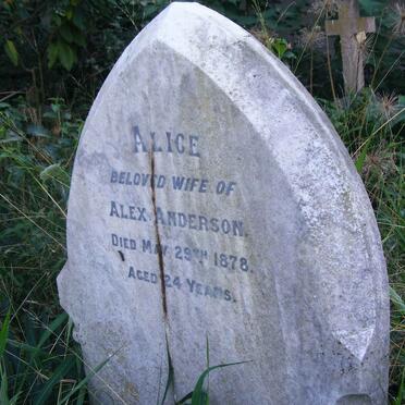 ANDERSON Alice -1878