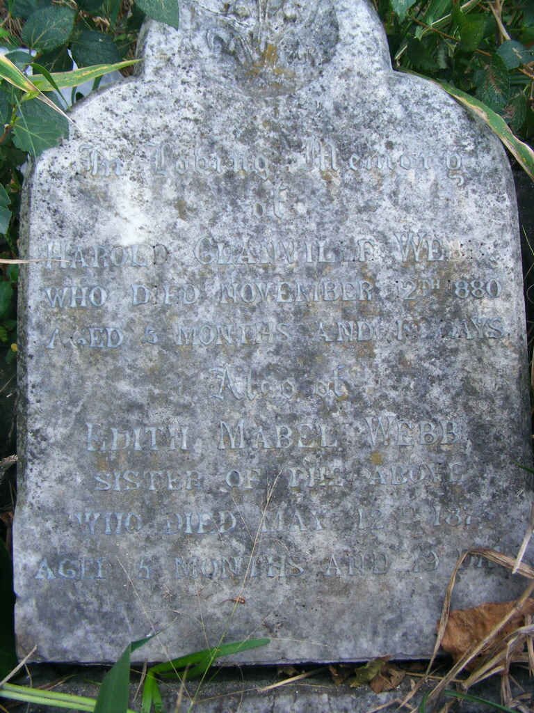 WEBB Harold Clanville -1880 :: WEBB Edith Mabel -1876