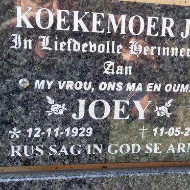 KOEKEMOER J.W. 1929-2019