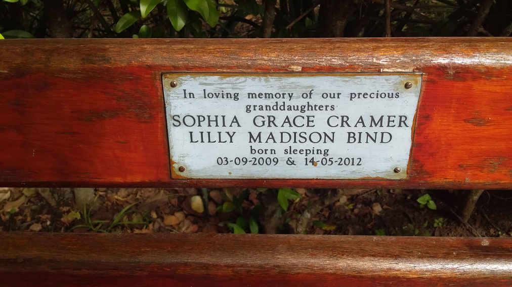 CRAMER Sophie Grace -2009 :: BIND Lilly Madison -2012