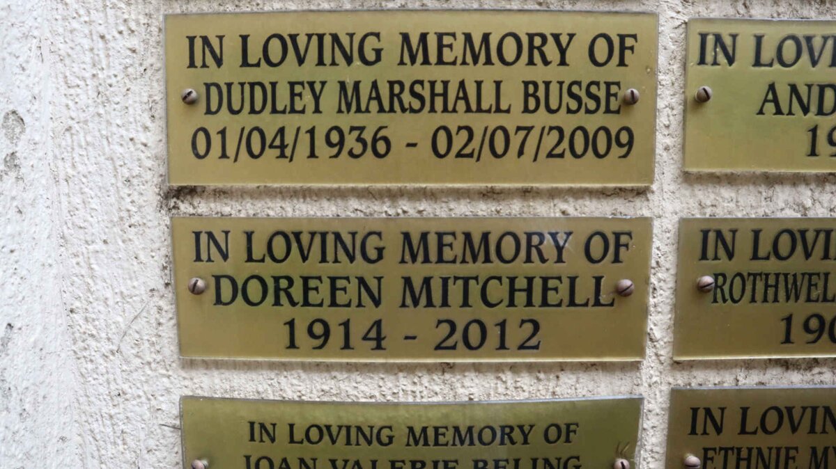 BUSSE Dudley Marshall 1936-2009