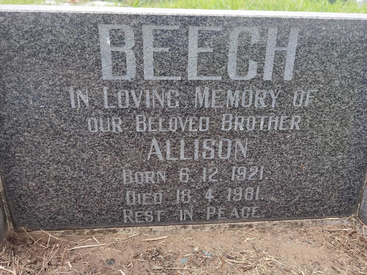 BEECH Allison 1921-1981