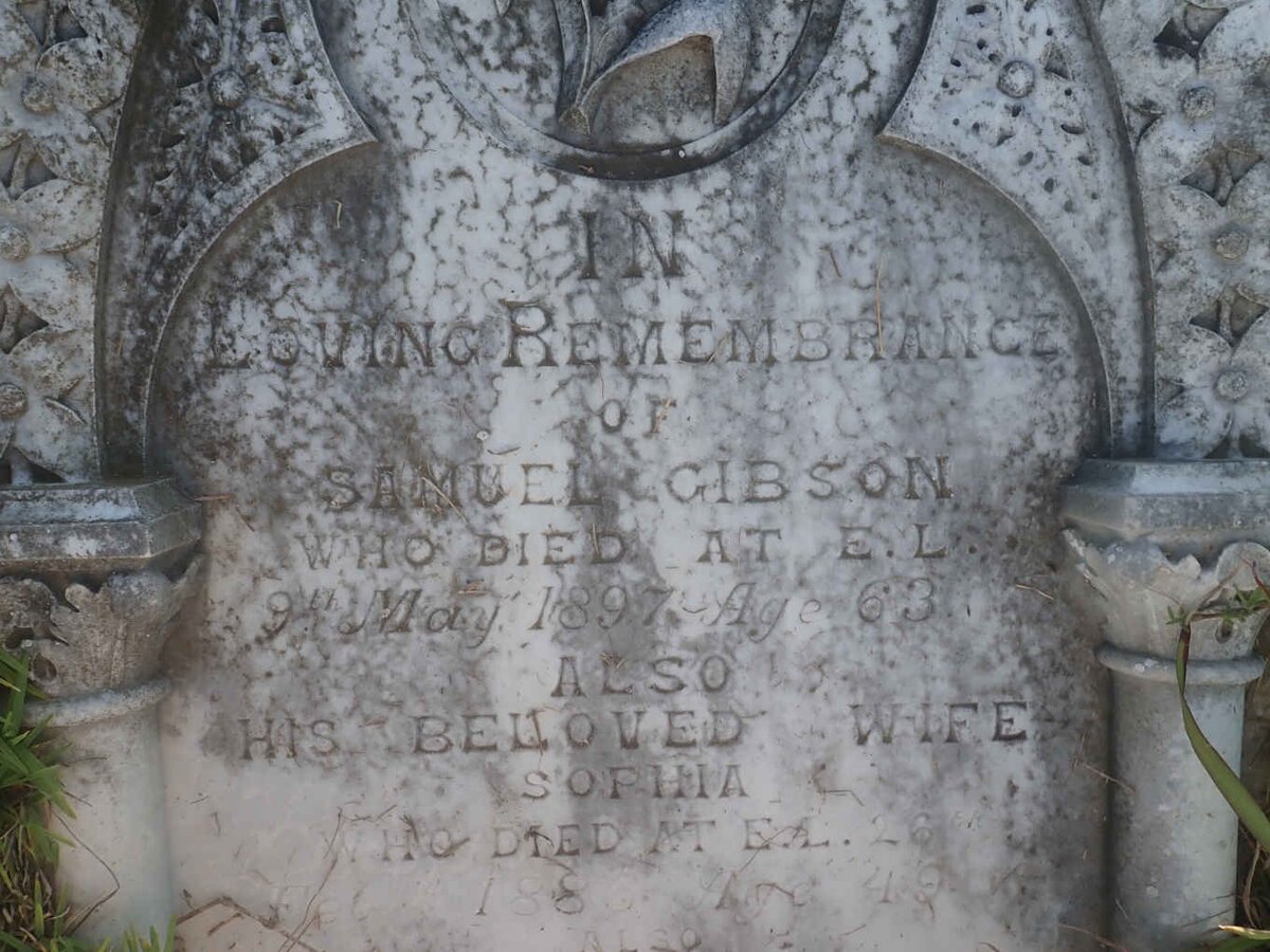 GIBSON Samuel -1897 &amp; Sophia -1886 :: GIBSON William -1891 :: GIBSON Samuel -1878 :: GIBSON Maitland -1878
