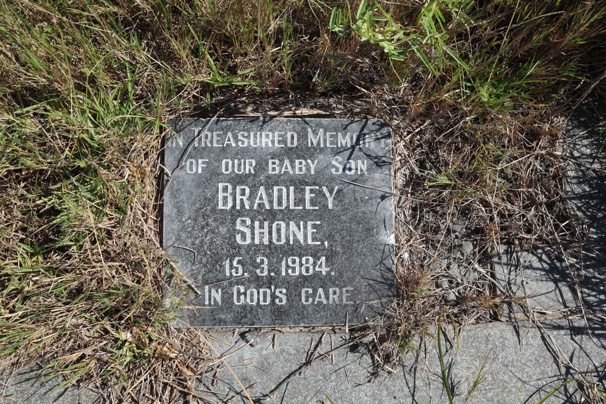 SHONE Bradley -1984