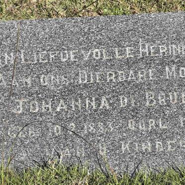 BRUIN Johanna, de 1883-1944