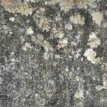 N - Vanne :: Surnames - N