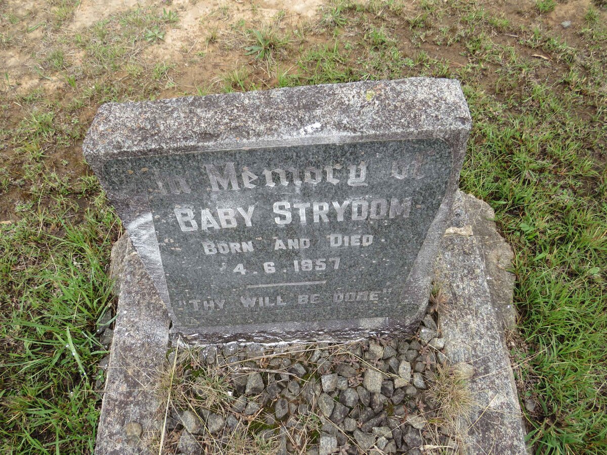 STRYDOM Baby 1957-1957
