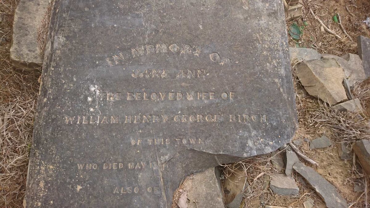 BIRCH William Henry George -1871 &amp; Jane Ann -1868