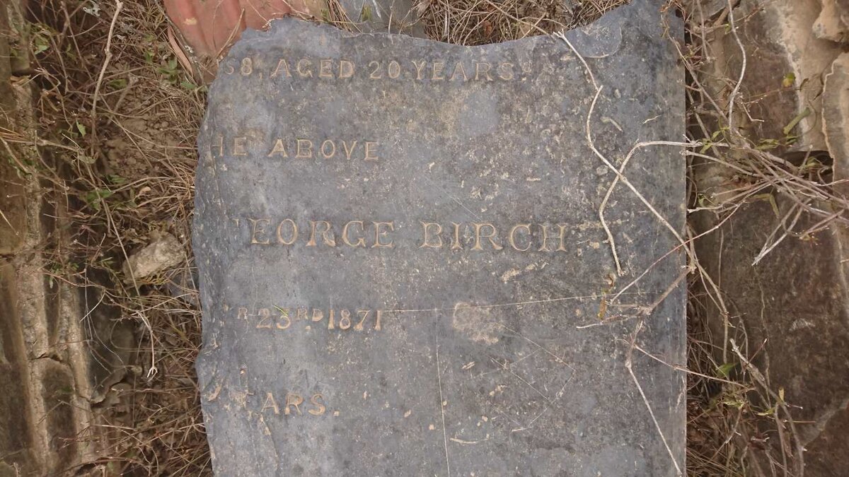 BIRCH William Henry George -1871 &amp; Jane Ann -1868